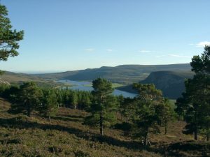 View from the top | Loch Brora